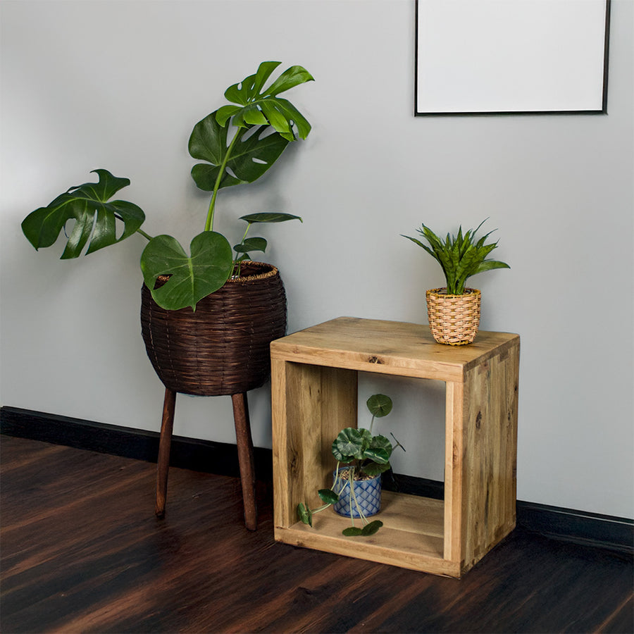 The front of the Vancouver Value Oak Cube. There is a potted plant inside and another on top. There is a free standing potted plant next to the cube.