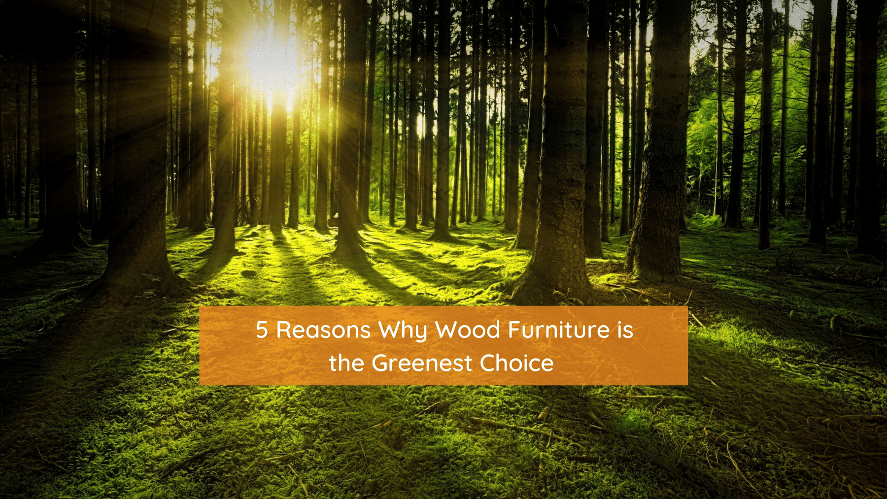 eco-friendly wood furniture