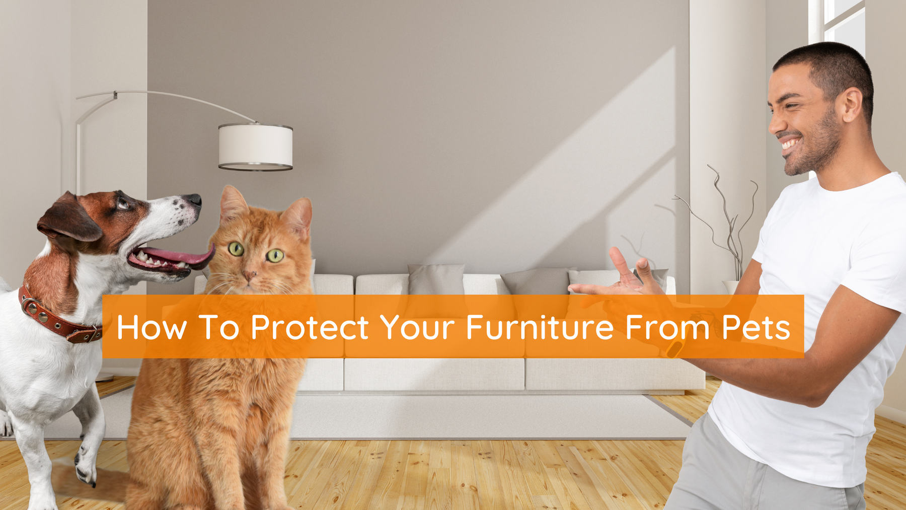 How To Protect Your Furniture from Pets