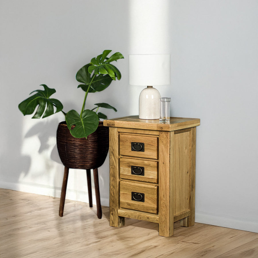 The front of the Amstel Oak Bedside Table. There is a free standing potted plant next to it. There is a lamp and a glass of water on top.