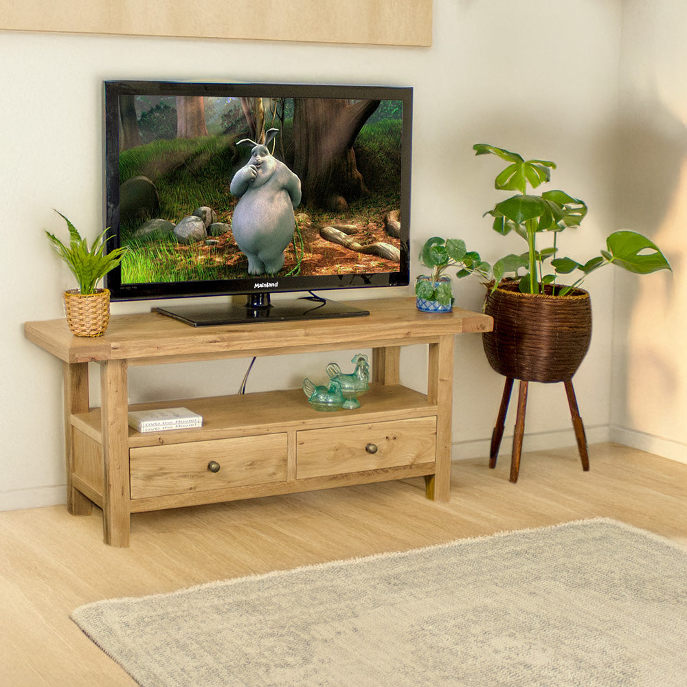 The front of the Farmhouse Entertainment Unit. There is a large TV on top, with two small potted plants on either side. There is a free standing potted plant next to it. There is a rug in front of the TV cabinet. There are two DVDs and two blue glass ornaments on the shelf below the TV.