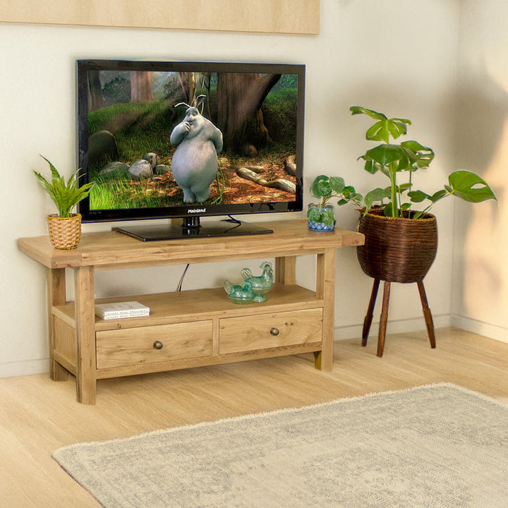 The front of the Farmhouse Entertainment Unit. There is a large TV on top, with two small potted plants on either side. There is a free standing potted plant next to it. There is a rug in front of the TV cabinet. There are two DVDs and two blue glass ornaments on the shelf below the TV.