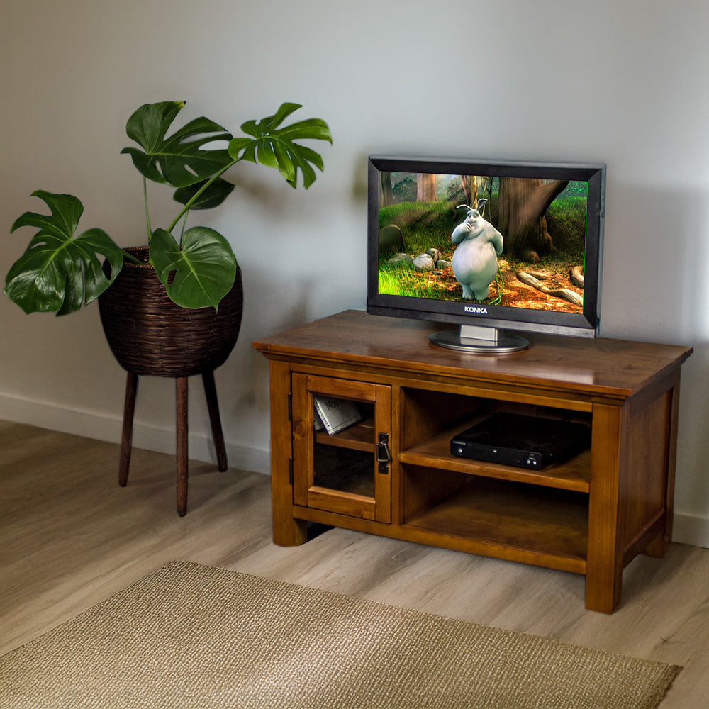 The front of the Montreal Small Entertainment Unit, with a small TV on top. There is a DVD player on the top shelf, and a free standing potted plant next to the unit.