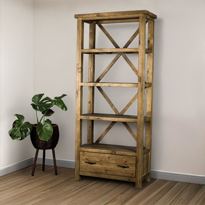The light brown Ventura Recycled Pine Bookcase, with a standing potted plant next to it.