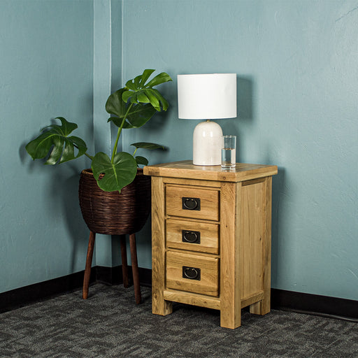 The front of the Amstel Oak Bedside Table. There is a free standing potted plant next to it. There is a lamp and a glass of water on top.